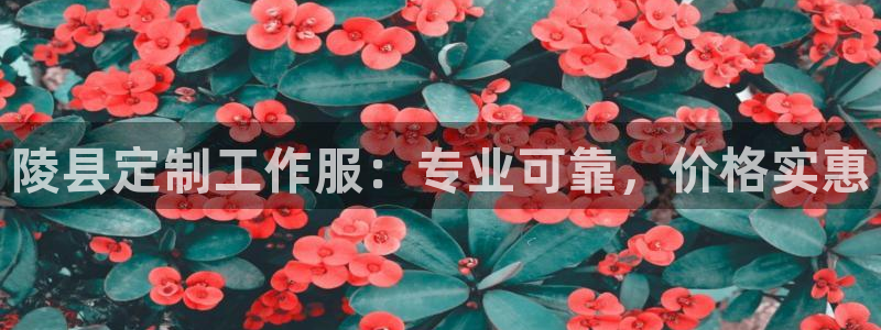 Long8国际平台登录入口